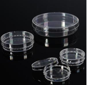 巴羅克/Biologix 細胞培養皿60mm，90mm實驗室培養皿