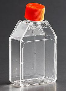 Corning 培養(yǎng)瓶 225cm&#178; 直角斜頸 聚酯蓋 材質 滅菌 散裝 3000
